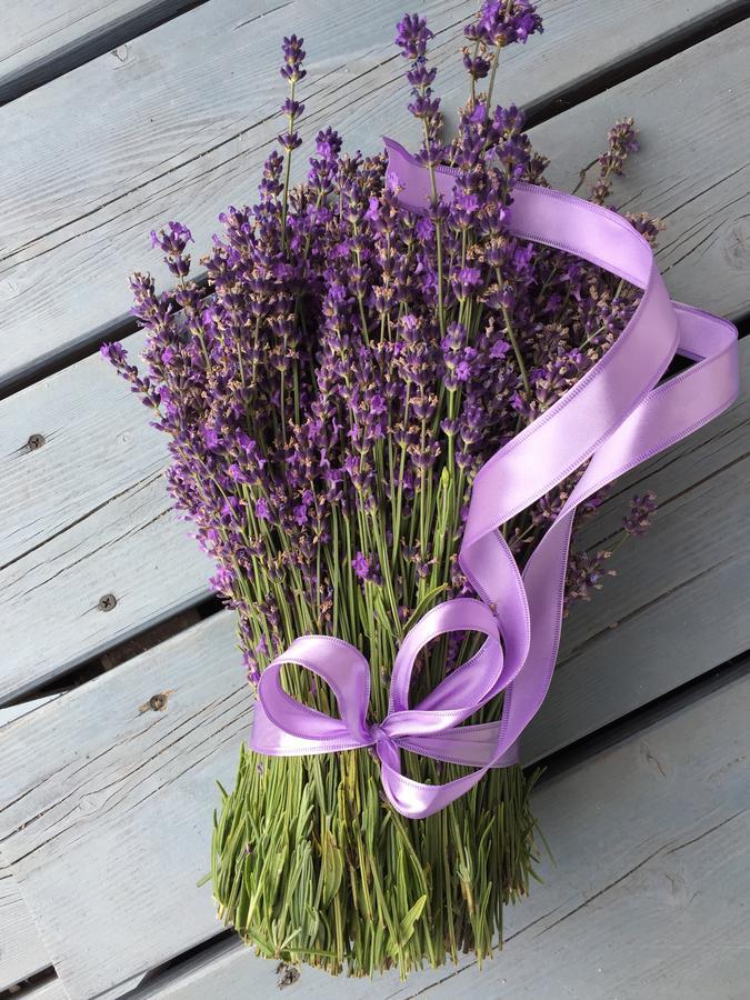 Lavender Village Kiemeliai Экстерьер фото