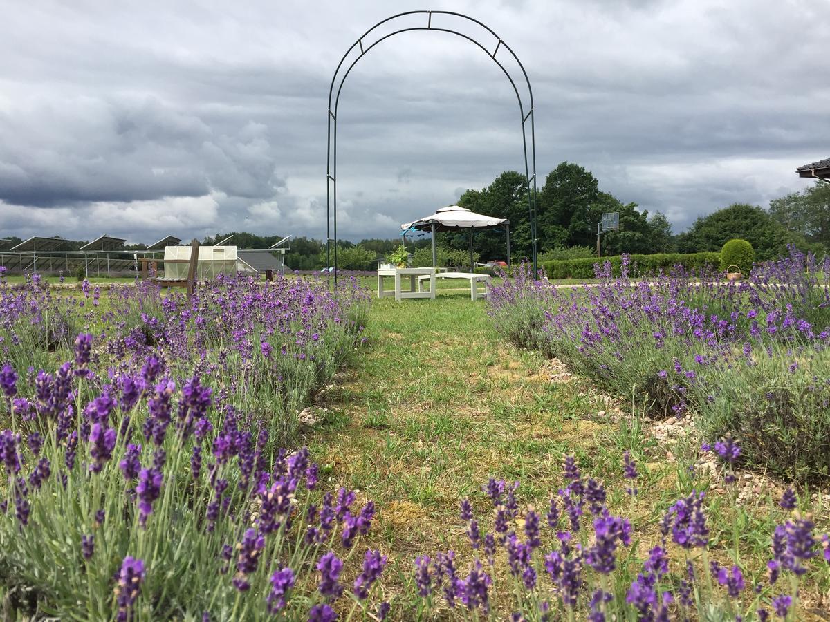 Lavender Village Kiemeliai Экстерьер фото